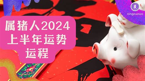 2024运程猪